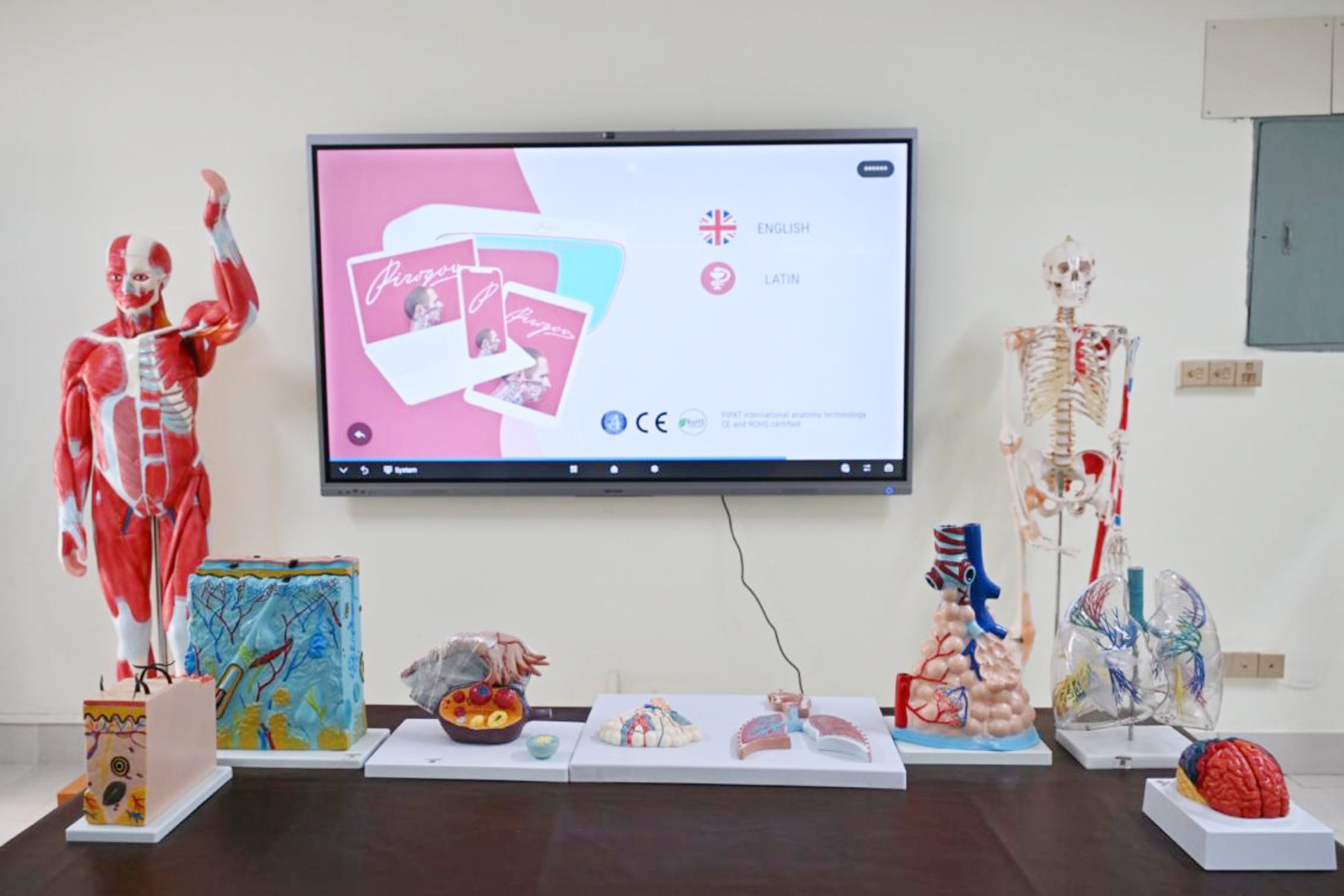 Anatomy Dissection Hall & Modern Room